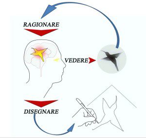 veradi concetto